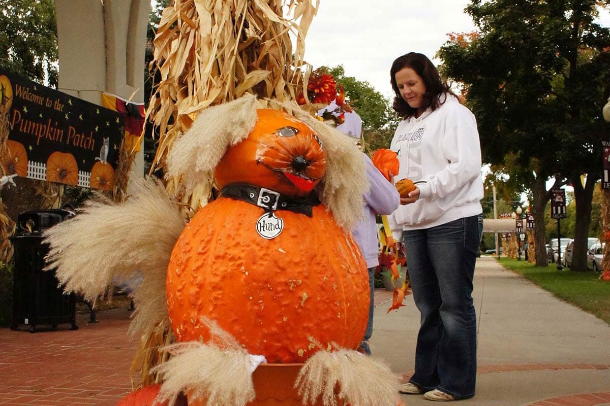 2010 Dog Pumpkin Topiary Display