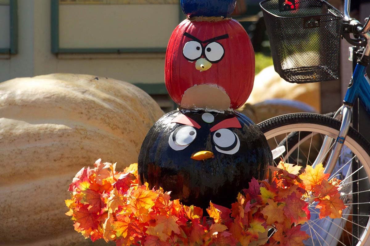 2011 Angry Birds Pumpkin Topiary Display