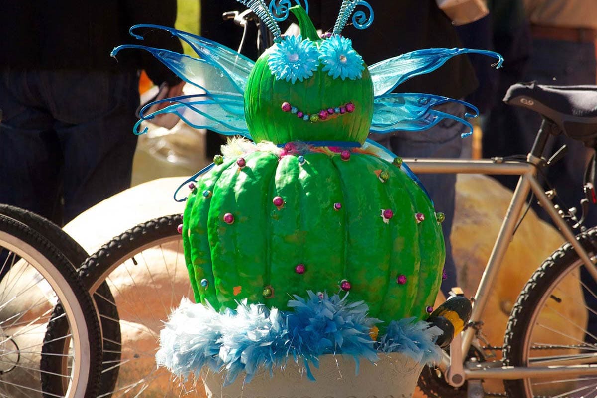 2011 Butterfly Pumpkin Topiary Display