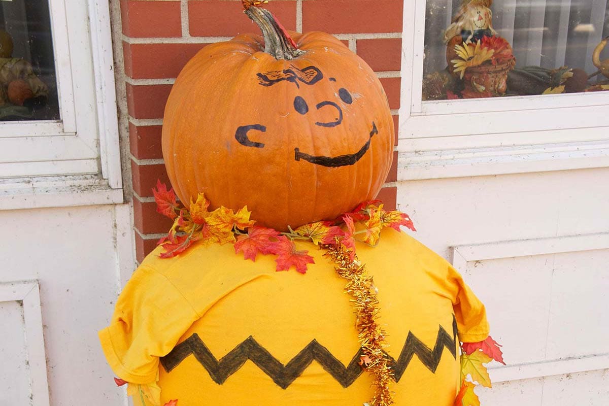 2012 Charlie Brown Pumpkin Display