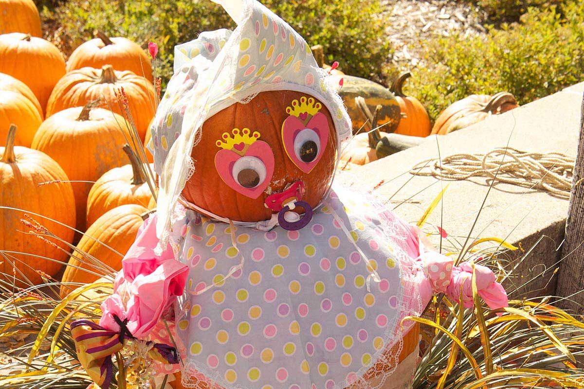 2012 Baby Pumpkintopiary Display