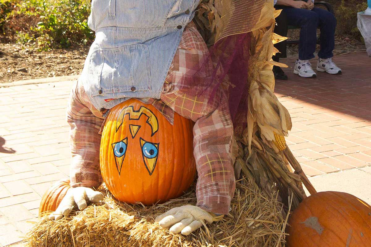 2012 Pumpkin Topiary Display