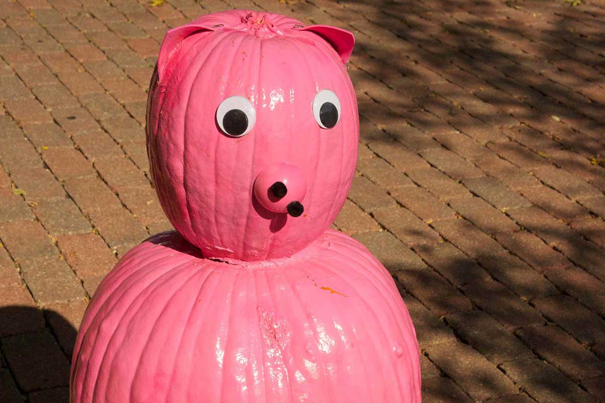2012 Pig Pumpkin Topiary Display