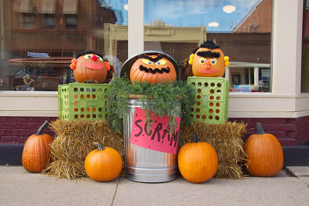 Sesame Street Pumpkin Display