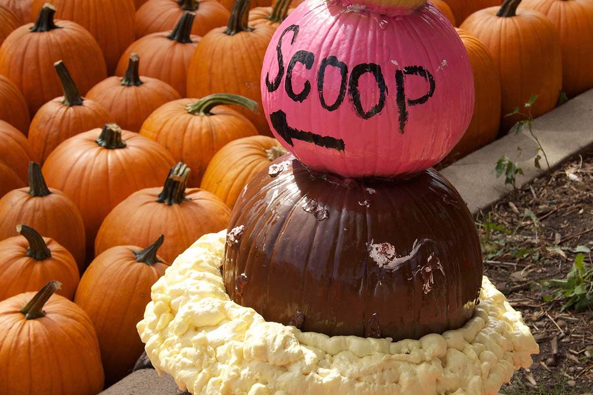 2013 Local Business Pumpkin Display