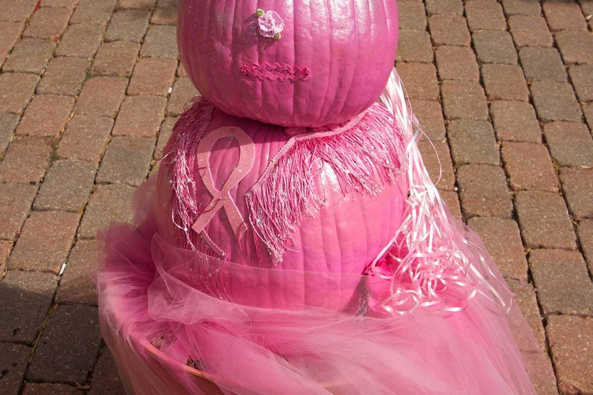 2013 Breast Cancer Awareness Pumpkin Display