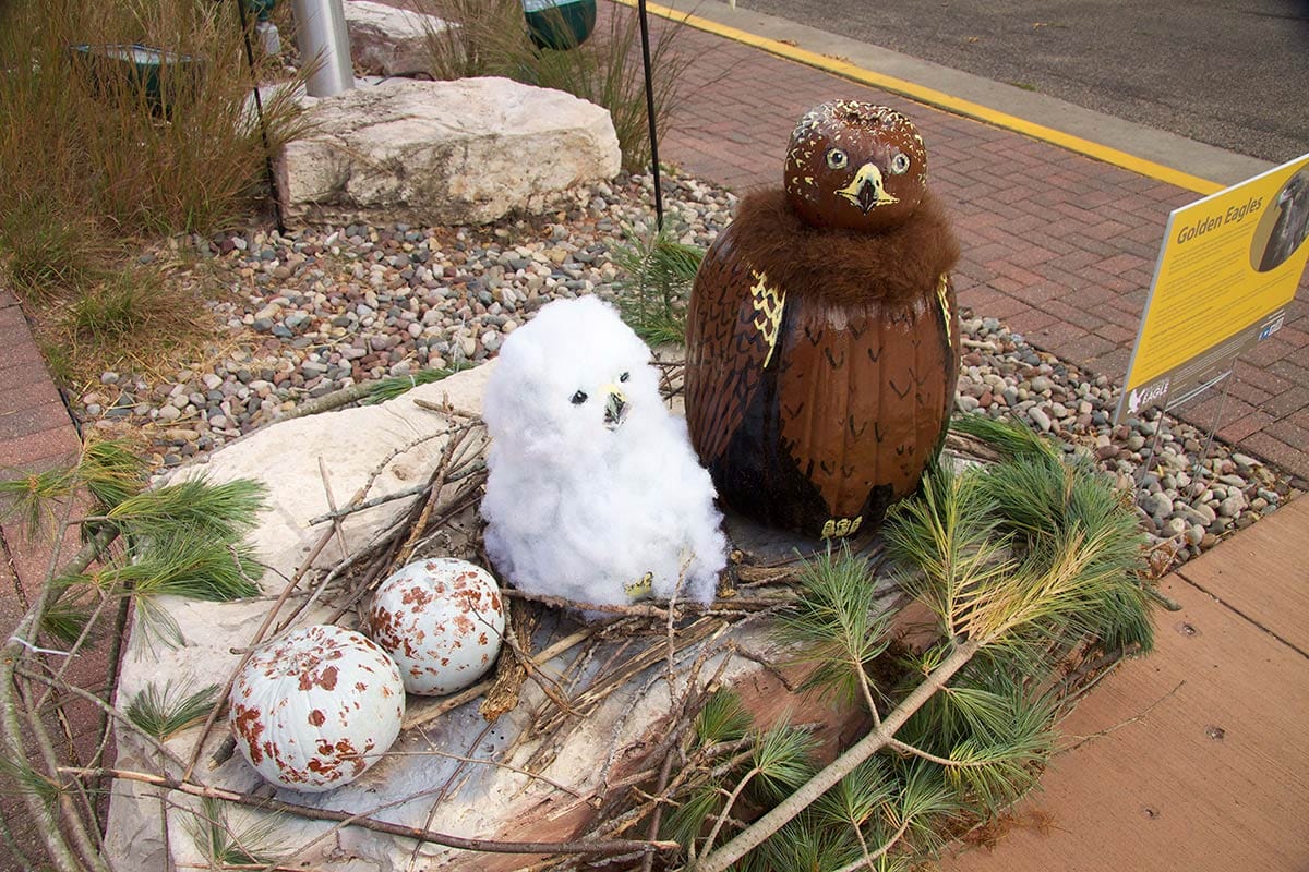 2013 Eagle Pumpkin Display