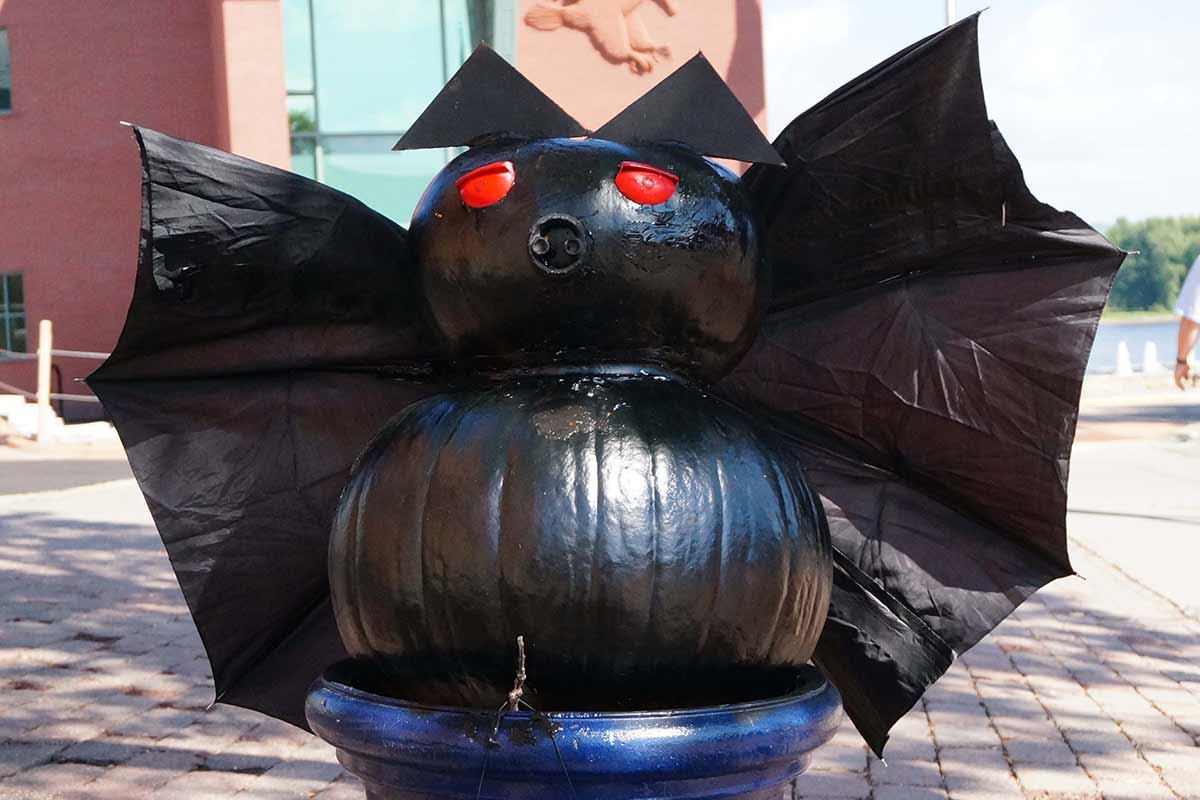 2014 Bat Pumpkin Display