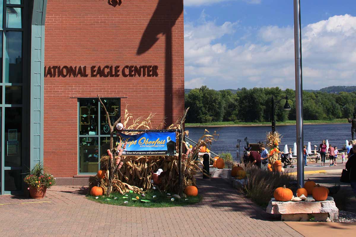 2014 National Eagle Center Topiary Display