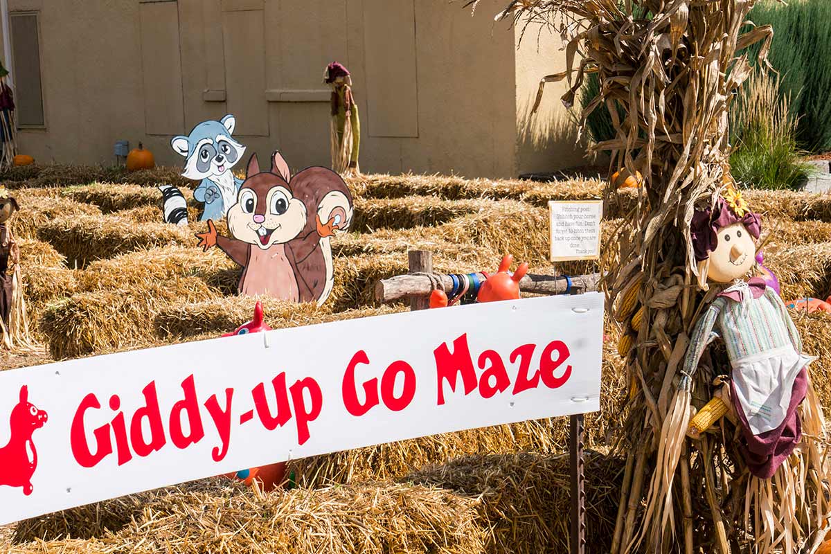 2016 Wabasha Giddy-Up Go Maze Topiary Display