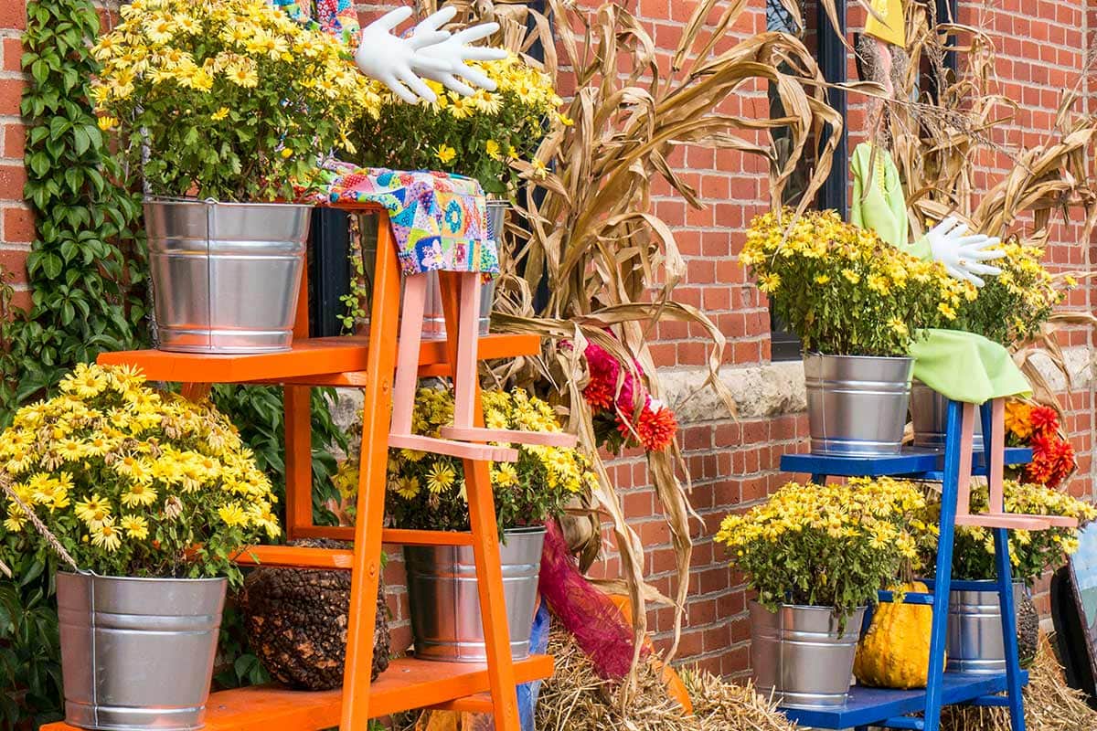 2016 Wabasha Topiary Display