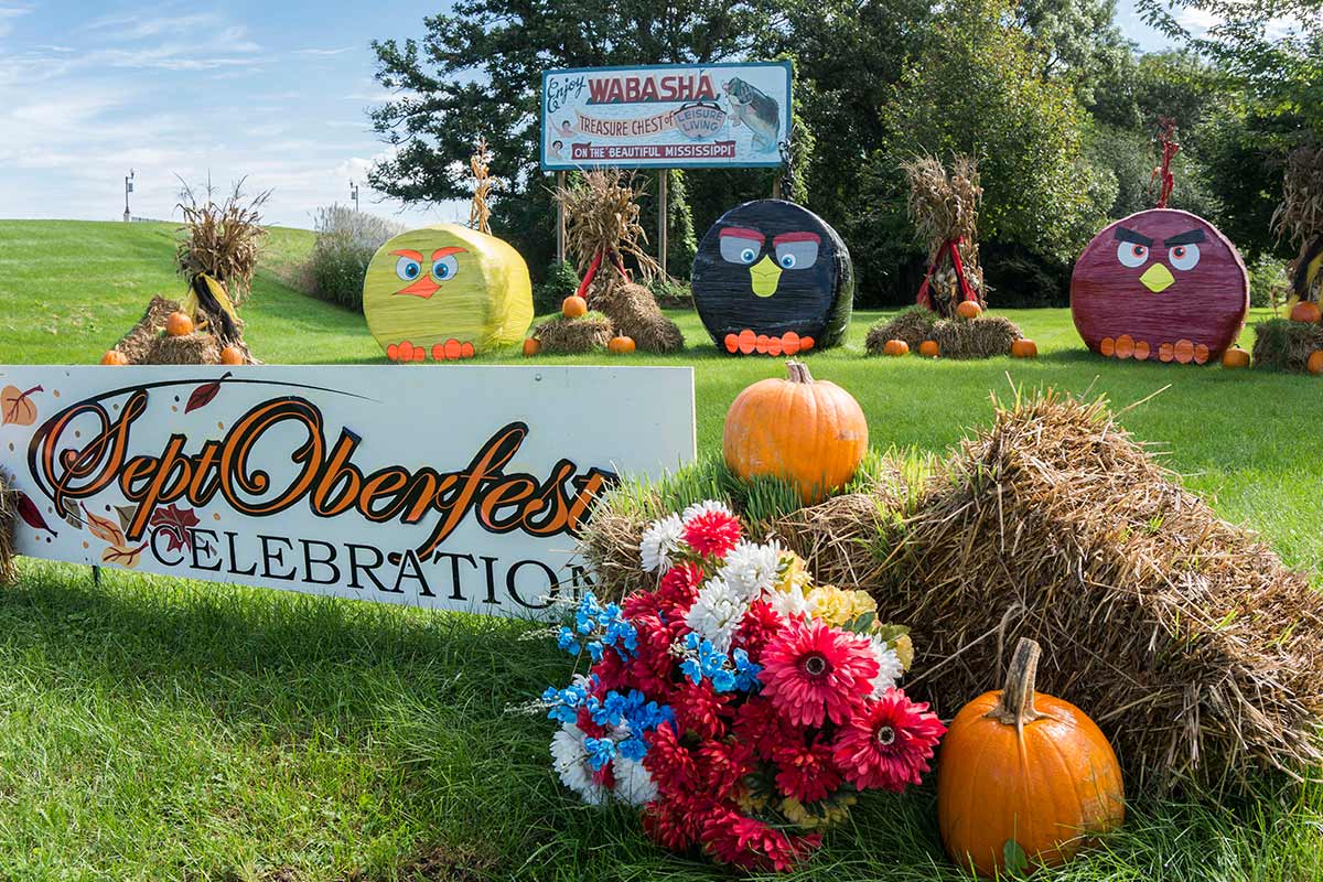 2016 Angry Birds Topiary Display