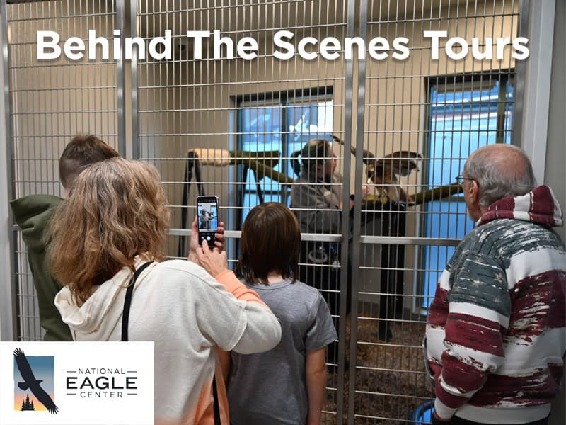 Behind The Scenes Visiondesign - Wabasha-Kellogg Chamber &Amp;Amp; Cvb