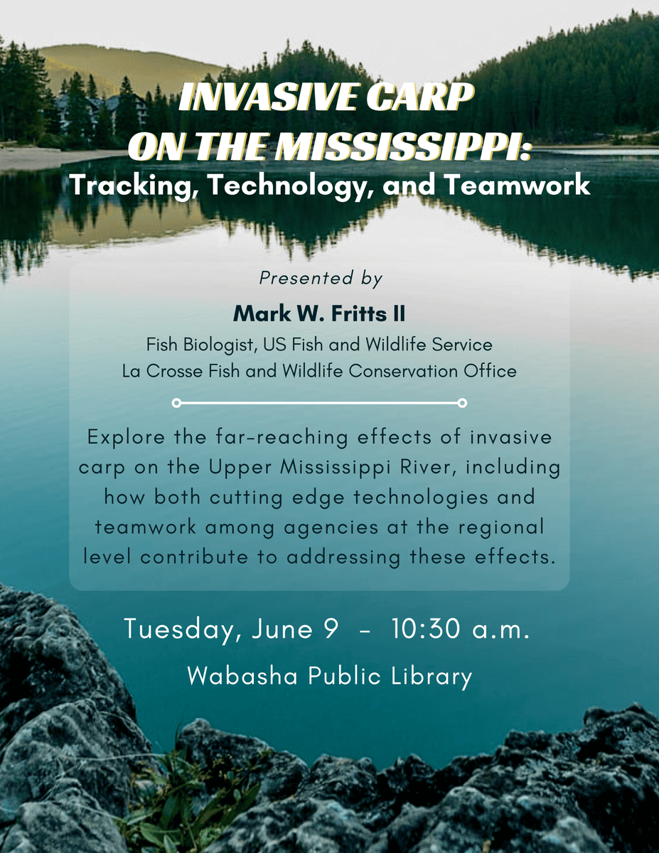 Invasive Carp On The Mississippi - Wabasha-Kellogg Chamber &Amp; Cvb