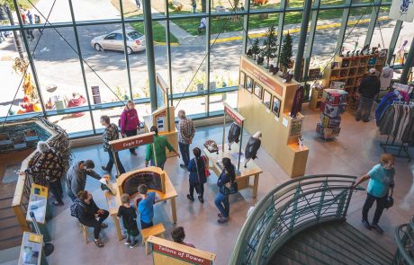 Soar Nationaleaglecenter Visitors - Wabasha-Kellogg Chamber &Amp; Cvb