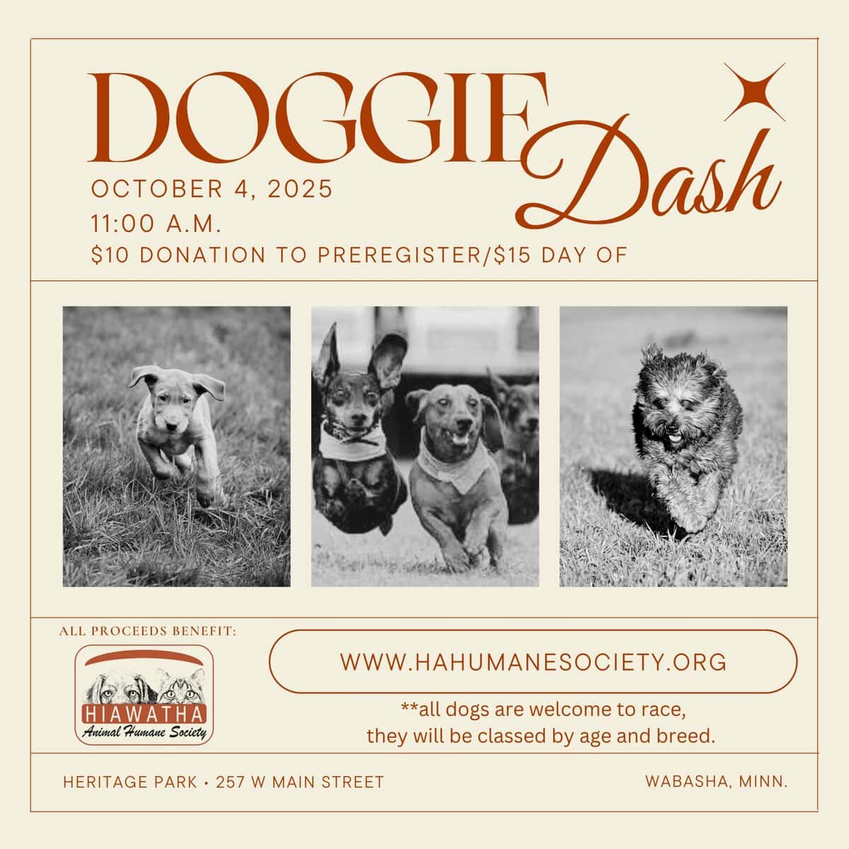 Septoberfest Doggie Dash Scaled - Wabasha-Kellogg Chamber &Amp;Amp; Cvb