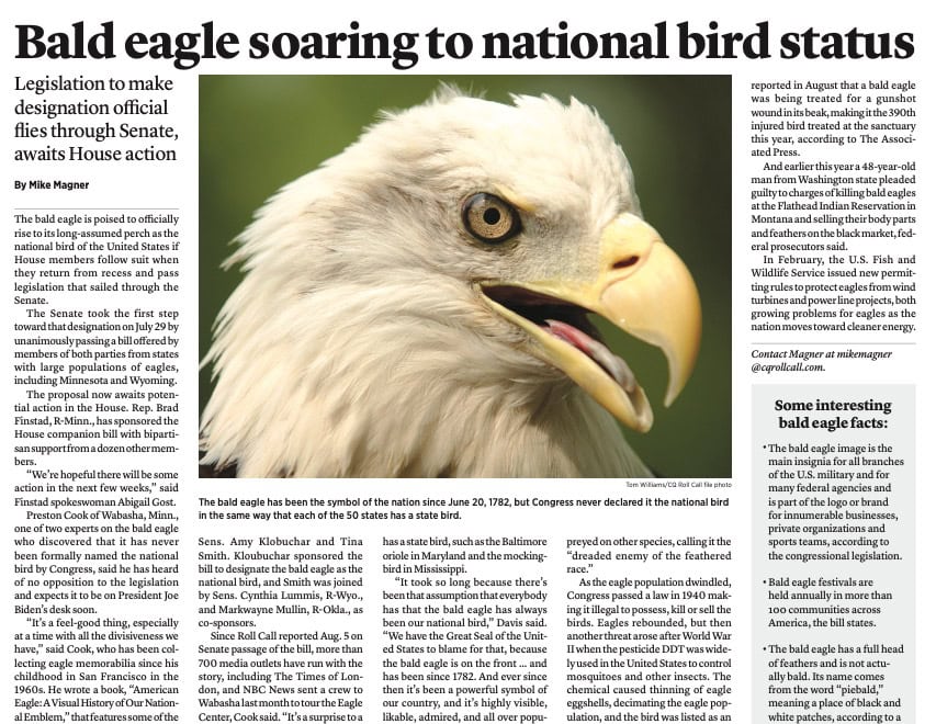 Bald Eagle Article - Wabasha-Kellogg Chamber &Amp;Amp; Cvb