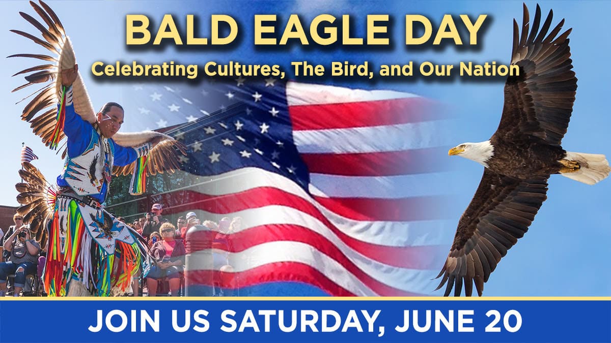 Bald Eagle Day - Wabasha-Kellogg Chamber &Amp; Cvb