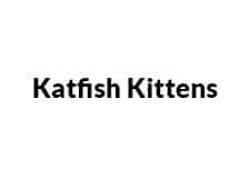 Katfish Kittens