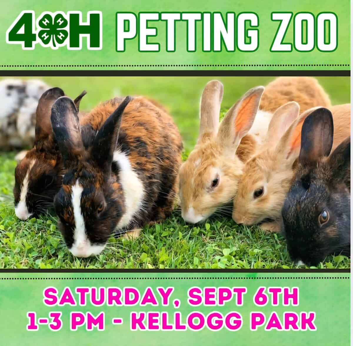 4-H Petting Zoo