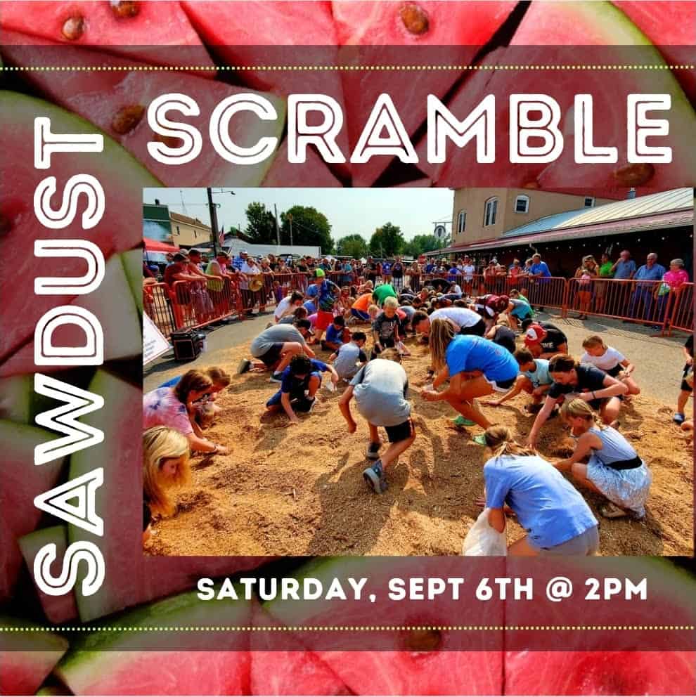 Sawdust Scramble!