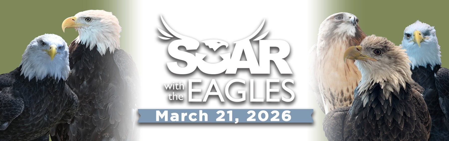 Soar 1 - Wabasha-Kellogg Chamber &Amp;Amp; Cvb