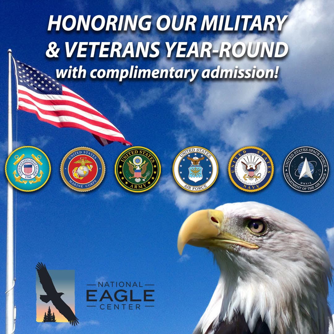 Veteran - Wabasha-Kellogg Chamber &Amp;Amp; Cvb