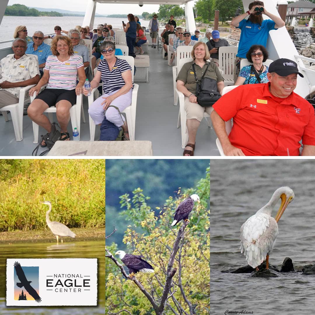 View Eagles - Wabasha-Kellogg Chamber &Amp;Amp; Cvb