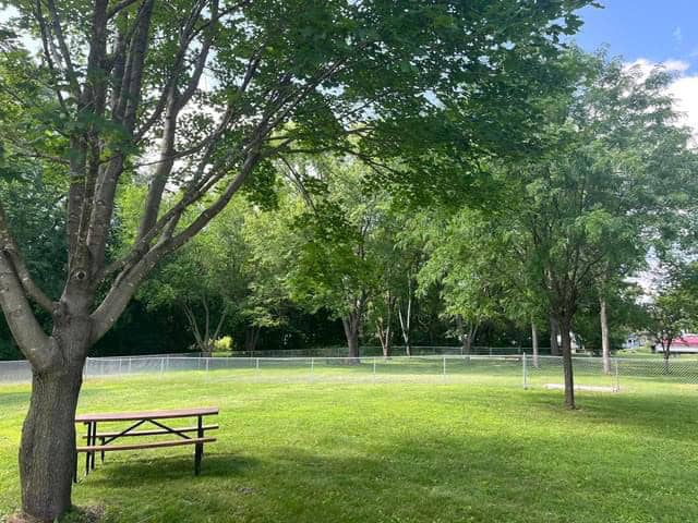 Wabasha Dog Park